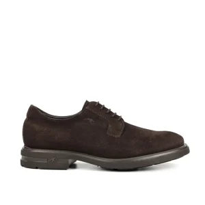 ZAPATO CORDON SERRAJE MARRON F0631 BELGAS CAFÉ