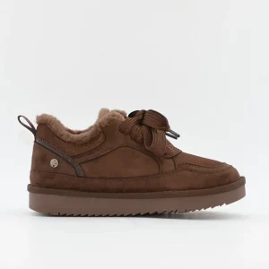 DEPORTIVO CORDÓN MARRON CHOCOLATE XTI 146528