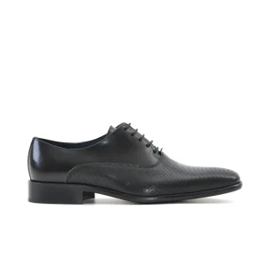 ZAPATO HOMBRE OXFORD FLORENTIC NEGRO MICROPERFORADO