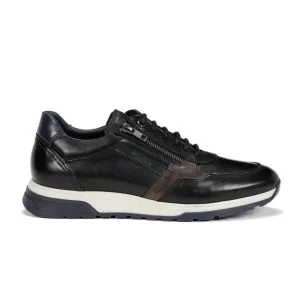 ZAPATO DE CORTE DEPORTIVO HOMBRE FLUCHOS CORDON COLOR NEGRO F1600 LOUIS HABANA