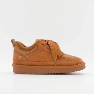 DEPORTIVO CORDÓN COLOR CAMEL XTI 146528